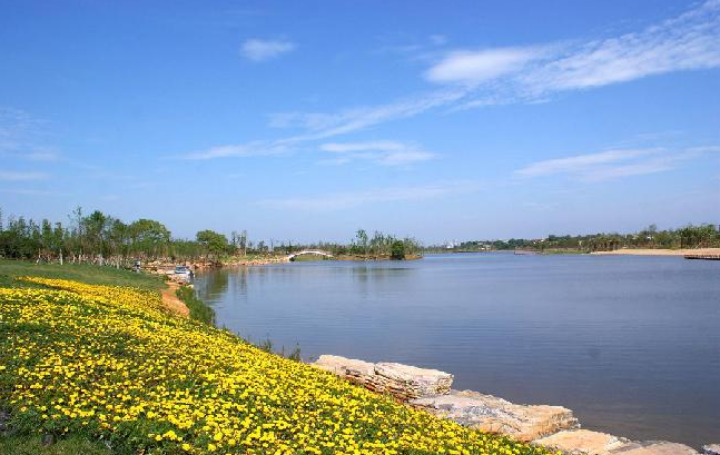 為什么膨潤土防水毯比土工膜更適合景觀湖的蓄水問題？